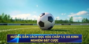 Kèo Chấp 1.5 Là Gì? Thông Tin Cần Biết Về Tỷ Lệ Trái Rưỡi